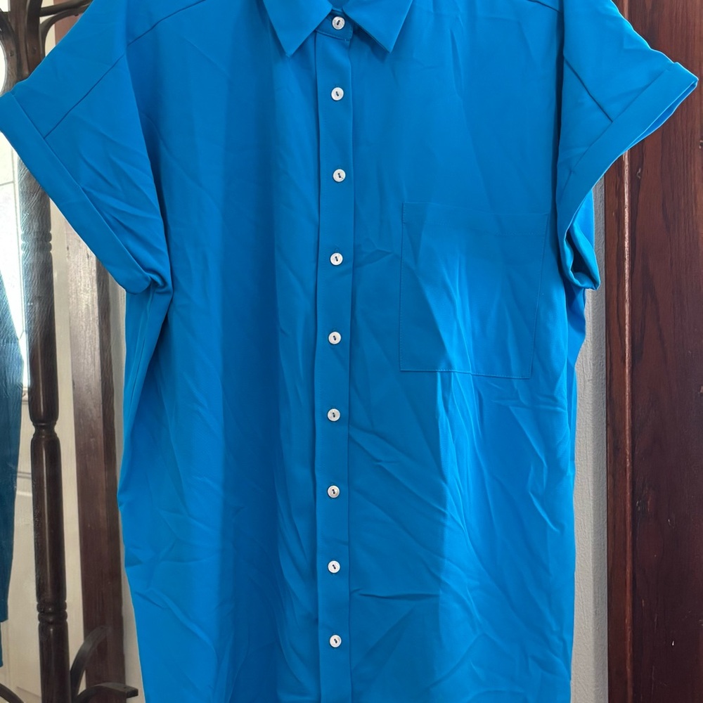 Entro Vibrant Blue Casual Button Down dress/shirt